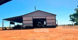 Fazenda com Dívida à Venda 10.240 has Infraestrutura Lavoura | Nova Maringá /MT