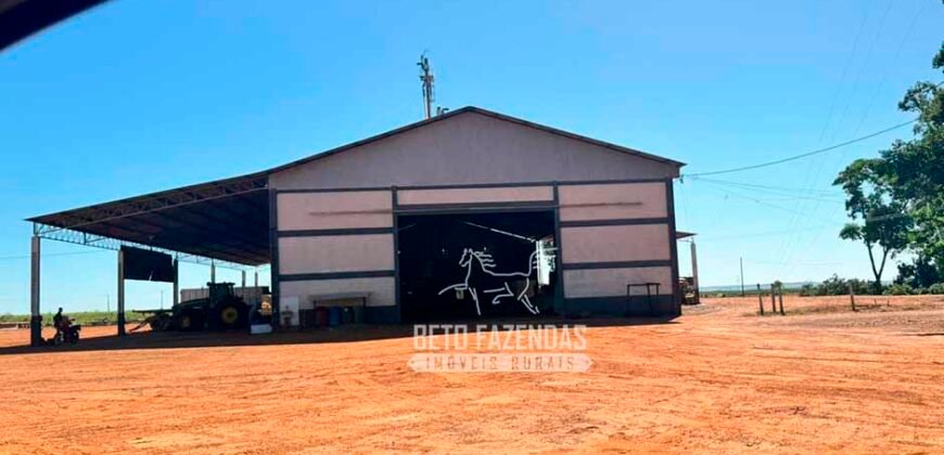 Fazenda com Dívida à Venda 10.240 has Infraestrutura Lavoura | Nova Maringá /MT