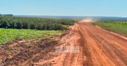 Fazenda com Dívida à Venda 10.240 has Infraestrutura Lavoura | Nova Maringá /MT