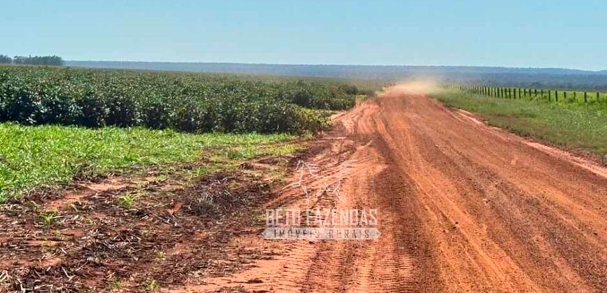 Fazenda com Dívida à Venda 10.240 has Infraestrutura Lavoura | Nova Maringá /MT