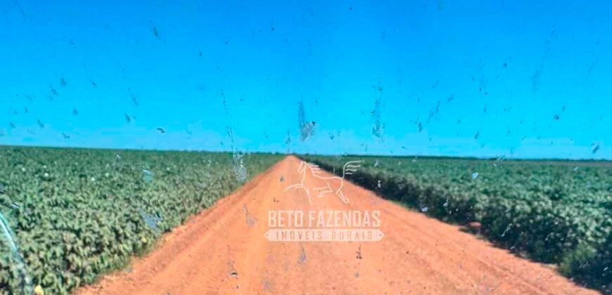 Fazenda com Dívida à Venda 10.240 has Infraestrutura Lavoura | Nova Maringá /MT