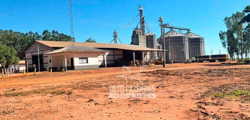 Fazenda com Dívida à Venda 10.240 has Infraestrutura Lavoura | Nova Maringá /MT