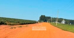 Fazenda com Dívida à Venda 10.240 has Infraestrutura Lavoura | Nova Maringá /MT