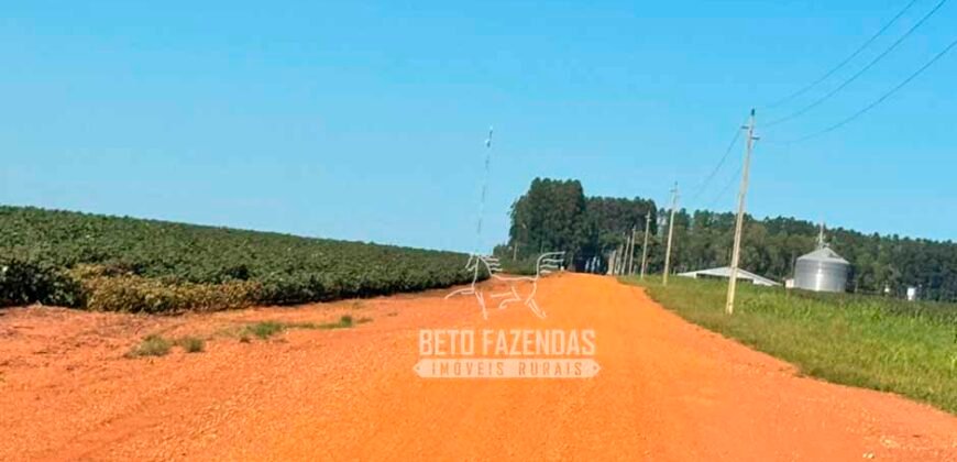 Fazenda com Dívida à Venda 10.240 has Infraestrutura Lavoura | Nova Maringá /MT