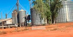 Fazenda com Dívida à Venda 10.240 has Infraestrutura Lavoura | Nova Maringá /MT