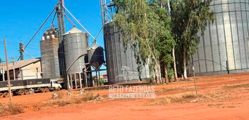 Fazenda com Dívida à Venda 10.240 has Infraestrutura Lavoura | Nova Maringá /MT
