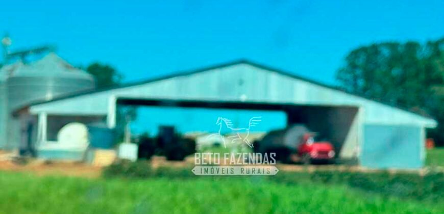 Fazenda com Dívida à Venda 10.240 has Infraestrutura Lavoura | Nova Maringá /MT