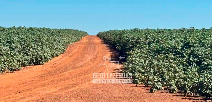 Fazenda com Dívida à Venda 10.240 has Infraestrutura Lavoura | Nova Maringá /MT