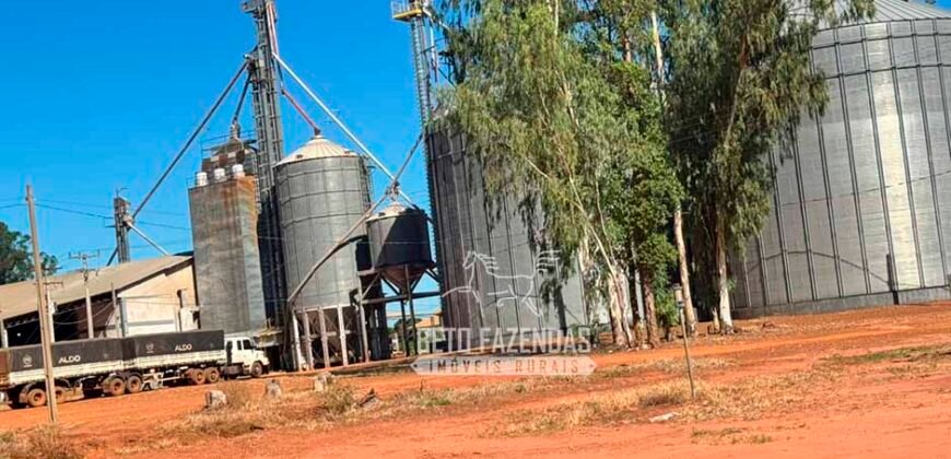 Fazenda com Dívida à Venda 10.240 has Infraestrutura Lavoura | Nova Maringá /MT