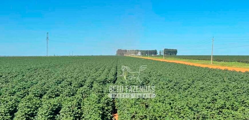 Fazenda com Dívida à Venda 10.240 has Infraestrutura Lavoura | Nova Maringá /MT