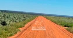 Fazenda com Dívida à Venda 10.240 has Infraestrutura Lavoura | Nova Maringá /MT