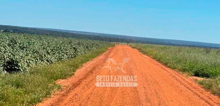 Fazenda com Dívida à Venda 10.240 has Infraestrutura Lavoura | Nova Maringá /MT