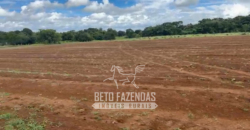 Fazenda com Divida à Venda 4.926 hectares Alto Padrão Agrícola | Norte de Goias