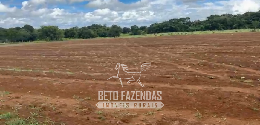 Fazenda com Divida à Venda 4.926 hectares Alto Padrão Agrícola | Norte de Goias