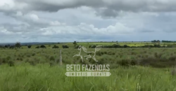 Fazenda com Divida à Venda 4.926 hectares Alto Padrão Agrícola | Norte de Goias