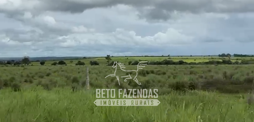 Fazenda com Divida à Venda 4.926 hectares Alto Padrão Agrícola | Norte de Goias