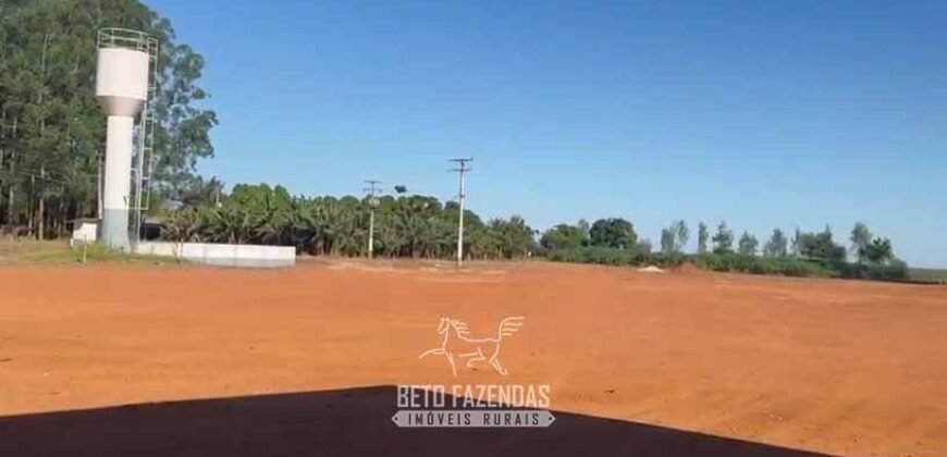Fazenda com Dívida à Venda 10.240 has Infraestrutura Lavoura | Nova Maringá /MT