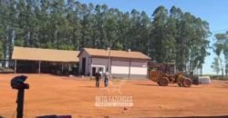 Fazenda com Dívida à Venda 10.240 has Infraestrutura Lavoura | Nova Maringá /MT