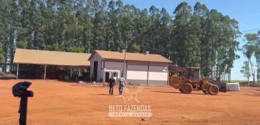 Fazenda com Dívida à Venda 10.240 has Infraestrutura Lavoura | Nova Maringá /MT